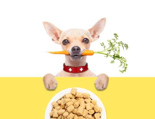 如何選擇性價比高的寵物食品包裝機