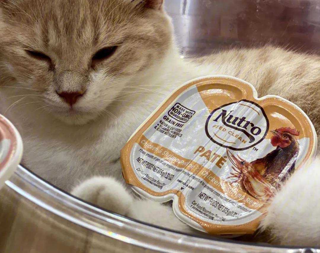 寵物糧包裝機:揭秘貓罐頭高效包裝流程