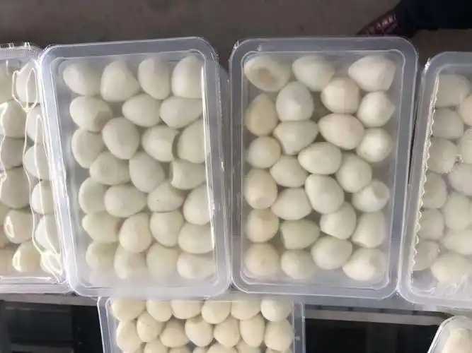 整線解決方案，優化生產流程：鵪鶉蛋包裝神器來襲